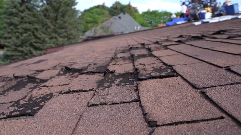 Best Wood Shake Roofing  in Rmel Valley Village, CA